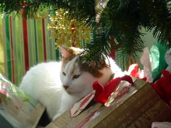 /Images/uploads/Humane Society of Utah/HSUCalendar/entries/1607thumb.jpg